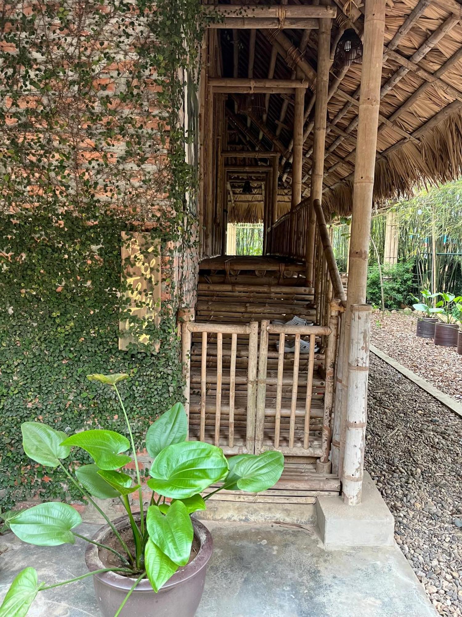 The Ruong Dinh Gia Trang - Homestay & Coffee מראה חיצוני תמונה
