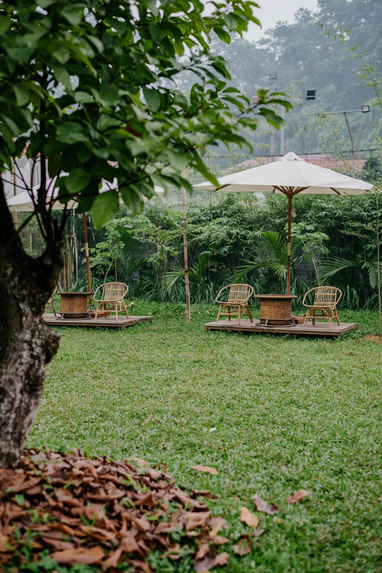 The Ruong Dinh Gia Trang - Homestay & Coffee מראה חיצוני תמונה